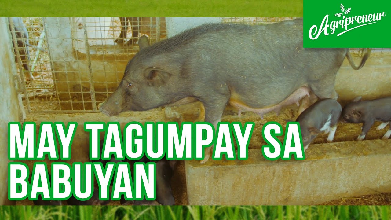 Ang Kwento ng Agripreneur na si Agrie!