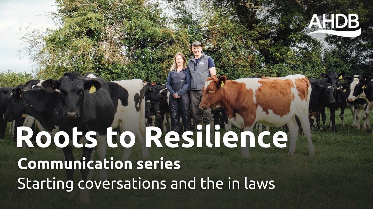 Starting conversations and the in laws | Roots to Resilience