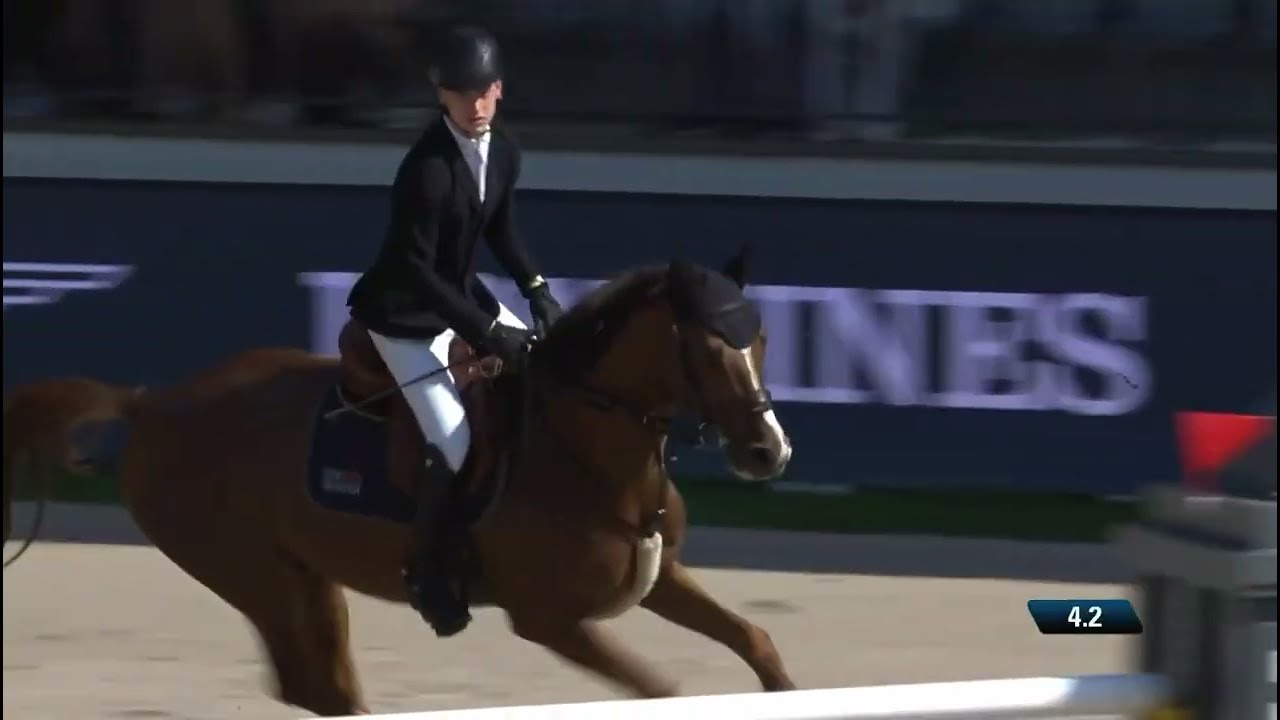 Maestro Gusto second in the 2* 1.40m during CHIO Rotterdam '25