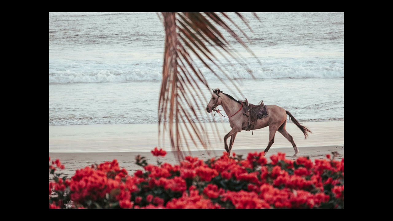 Paso a Paso | Cumbia | Luz de Medinah