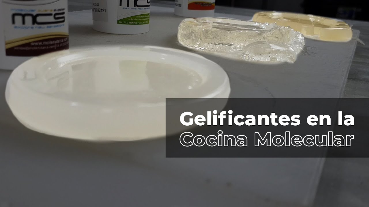 Los 6 gelificantes vegetales en la cocina de vanguardia (Parte 1)