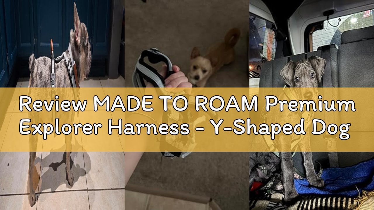 Review MADE TO ROAM Premium Explorer Harness - Y-Shaped Dog Harness with Adjustable Durable Nylon, S