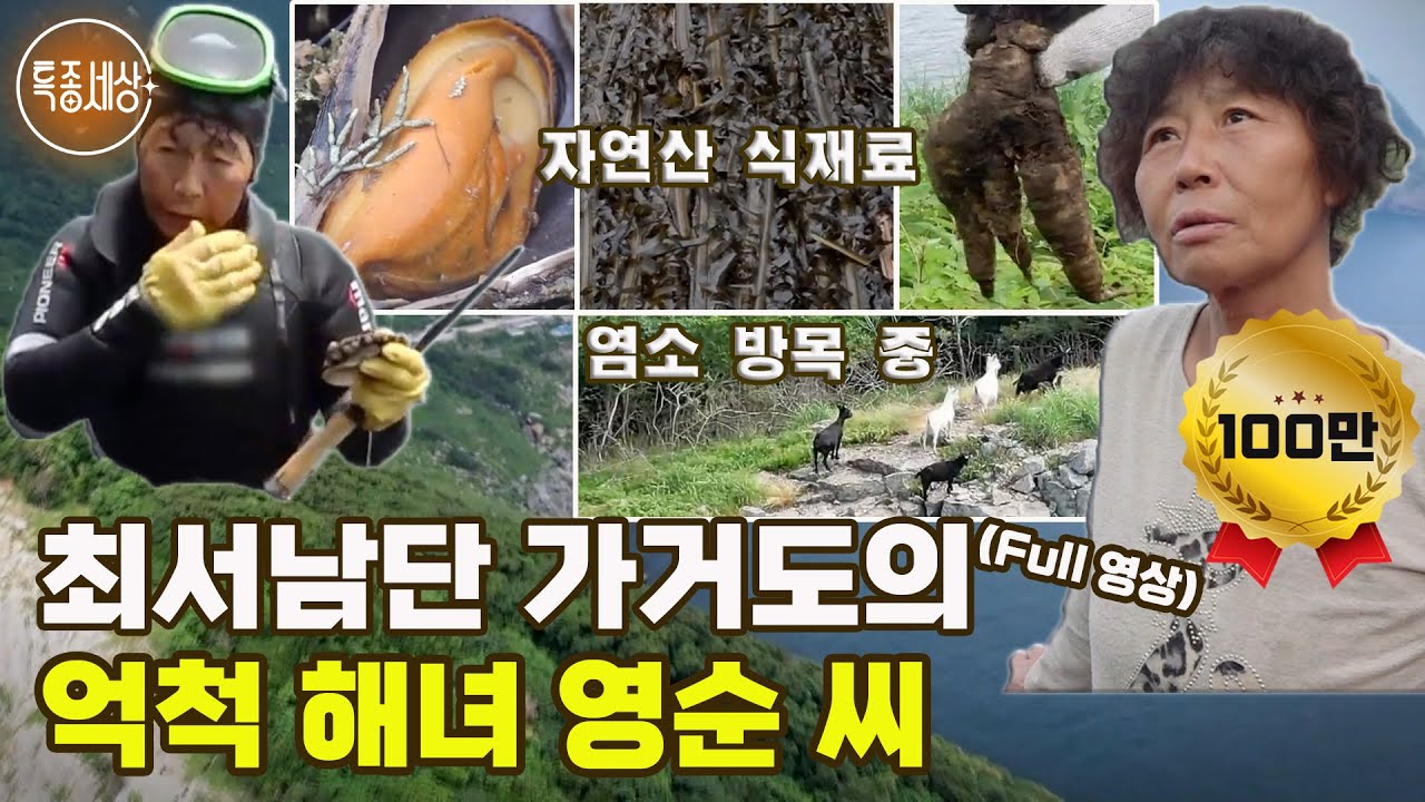 [특종세상] 최서남단 가거도의 억척 해녀 영순 씨 [Full영상]