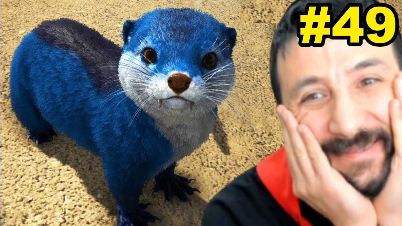 En Sevimli Canlı Dolap: SU SAMURU 😍 ARK 49.Bölüm (2.Sezon)