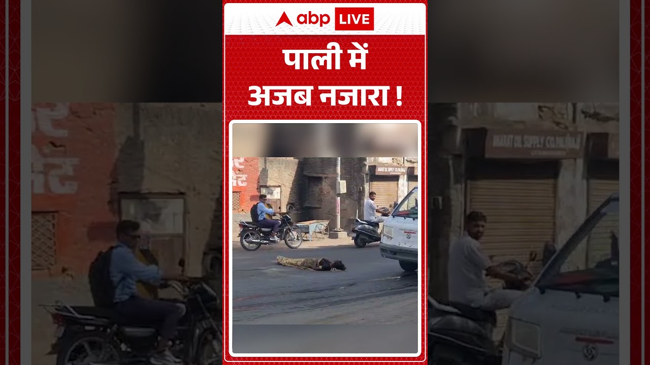 Viral News : पाली में अजब नजारा! | #ytshorts #pali #maharashtra #viralnews #viralvideo