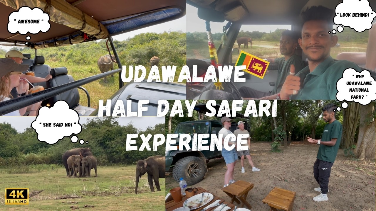 Udawalawe Half Day Safari Experience Sri Lanka