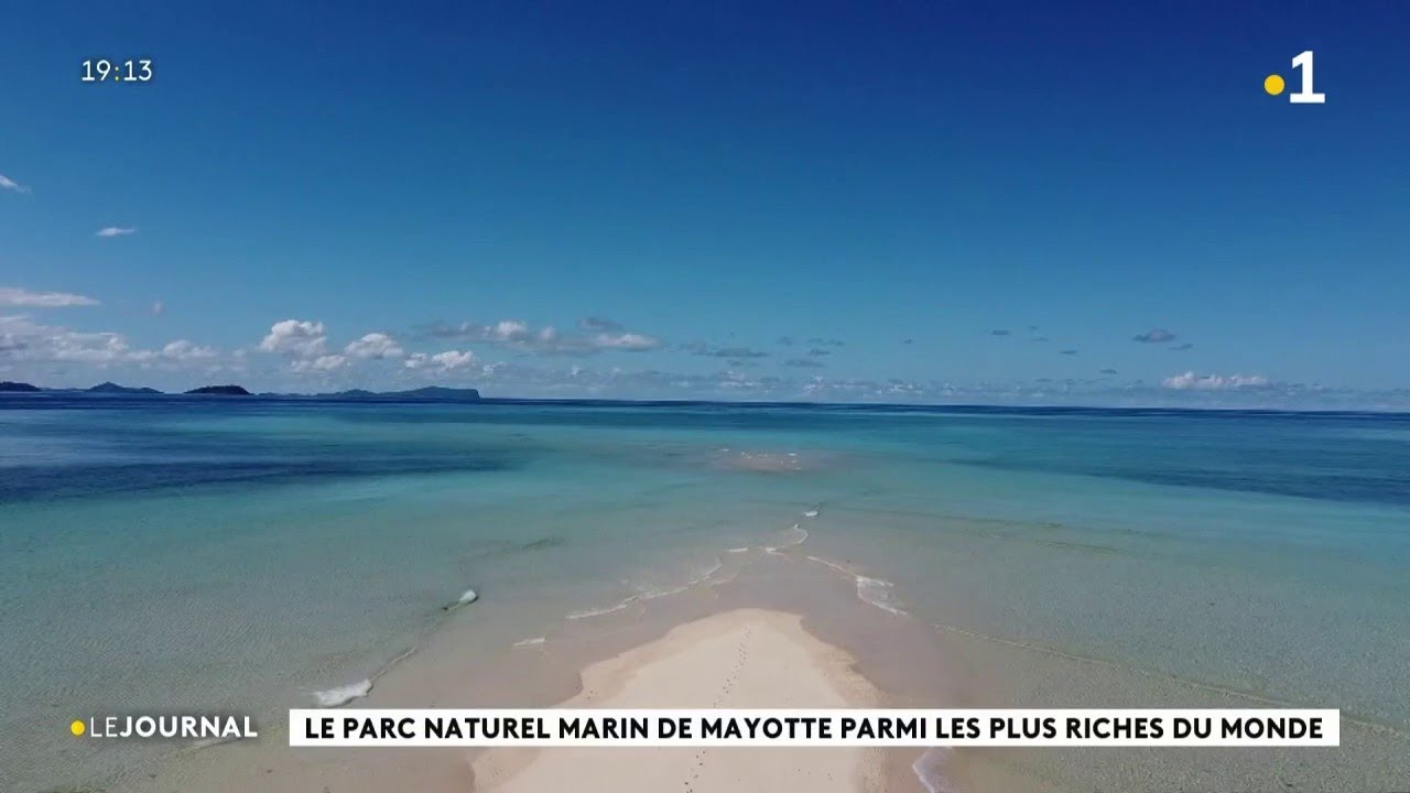 Le parc naturel marin de Mayotte parmi les plus riches du monde
