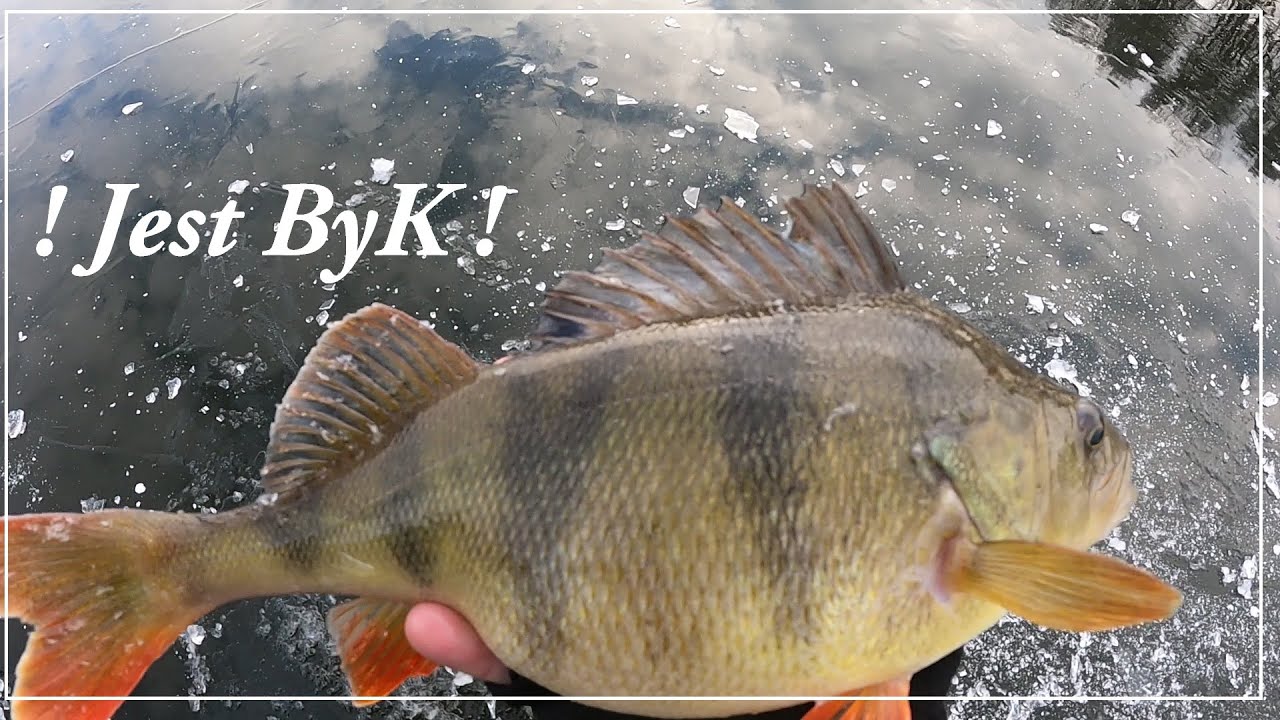 Jest ByK  !!  pierwszy lód 2025 ! Wędkarstwo podlodowe - blaszka