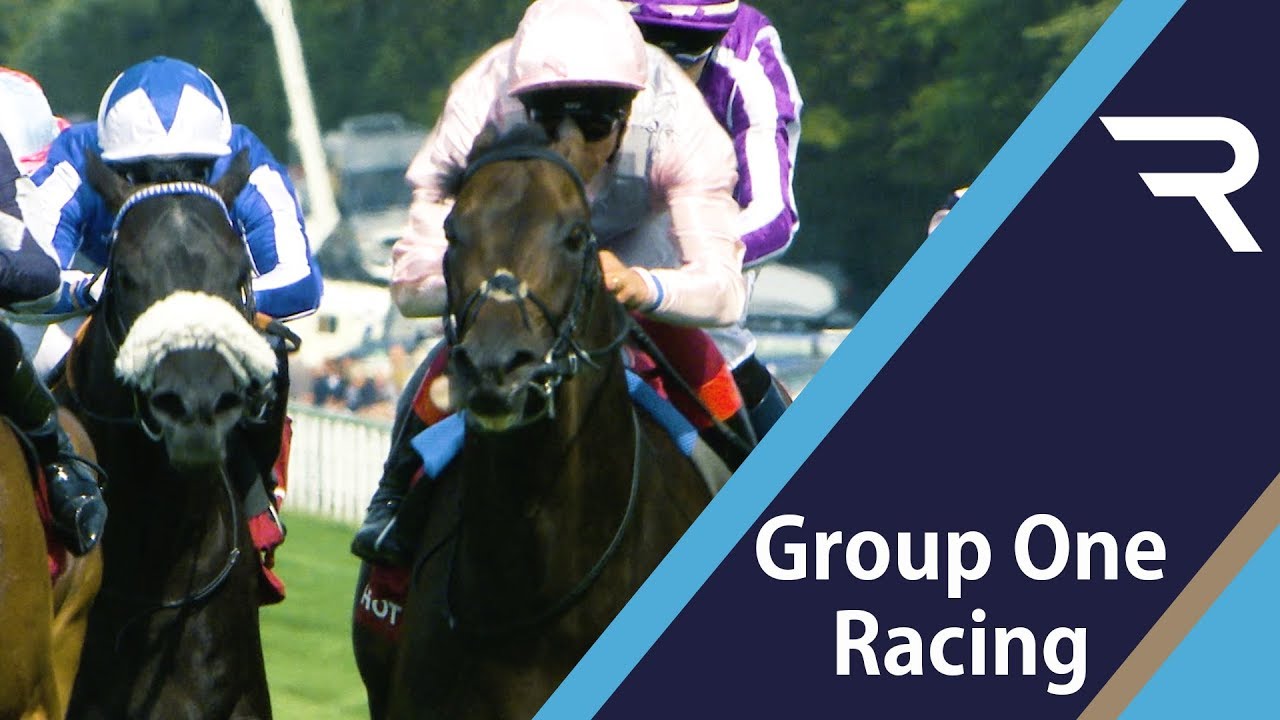 2019 Qatar Sussex Stakes - Racing TV