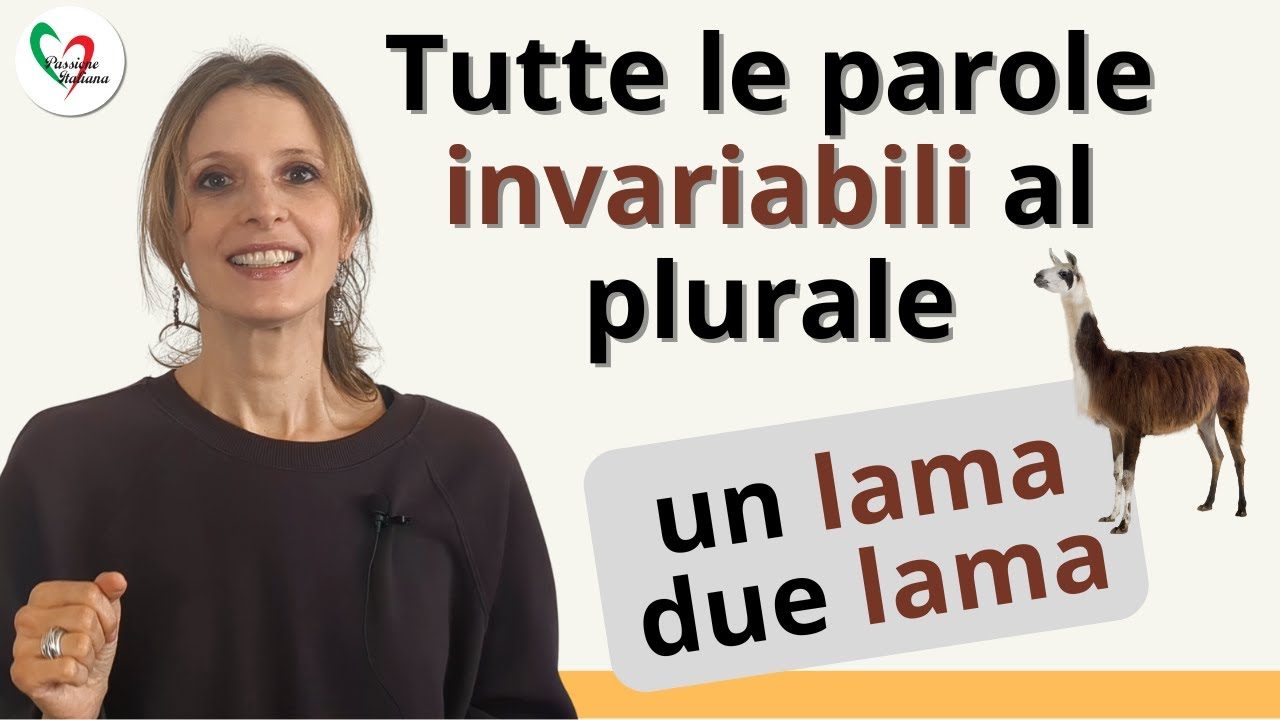 40. Tutte le parole invariabili al plurale