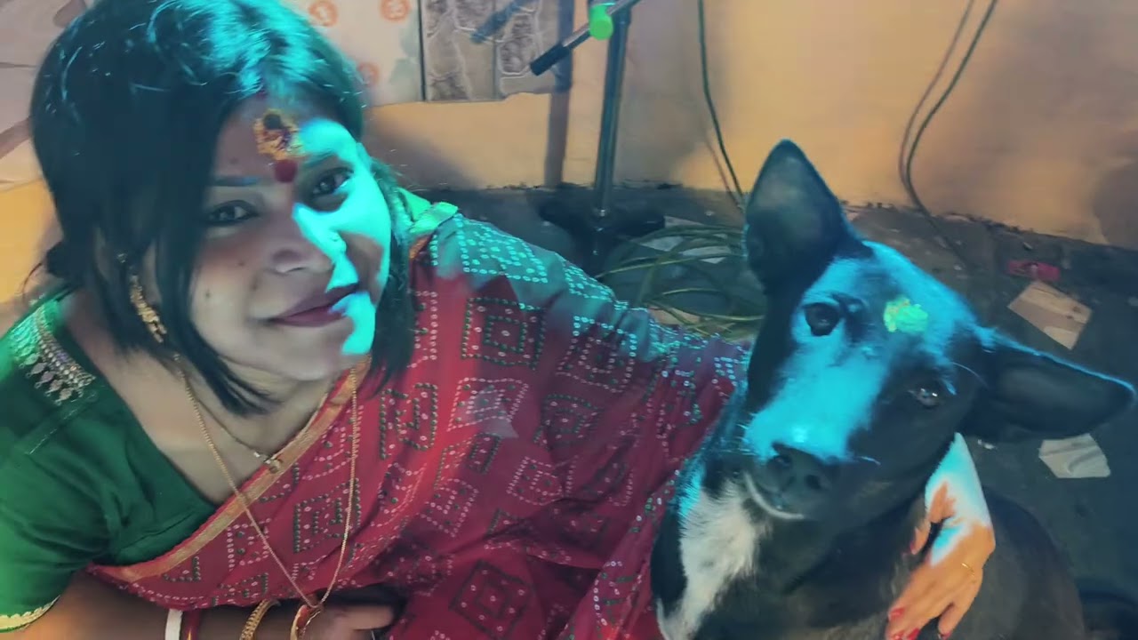 শিবরাত্রির ভোগ বিতরণ এর দ্বিতীয় পর্ব 🤤🤤#minivlog #lovesong বাবা তুমি সবাইকে ভালো রেখো 💐💐🪔🪔🙏🙏