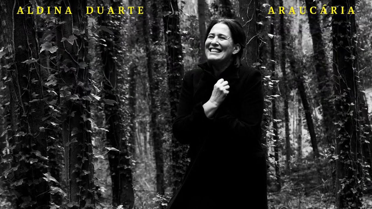 Aldina Duarte - Araucária