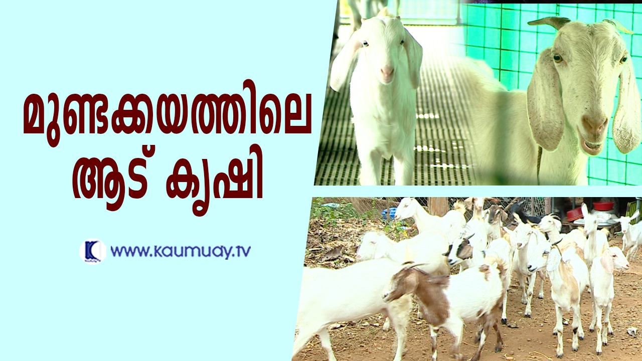 Goat farming at Mundakayam | Haritham Sundaram | Kaumudy TV
