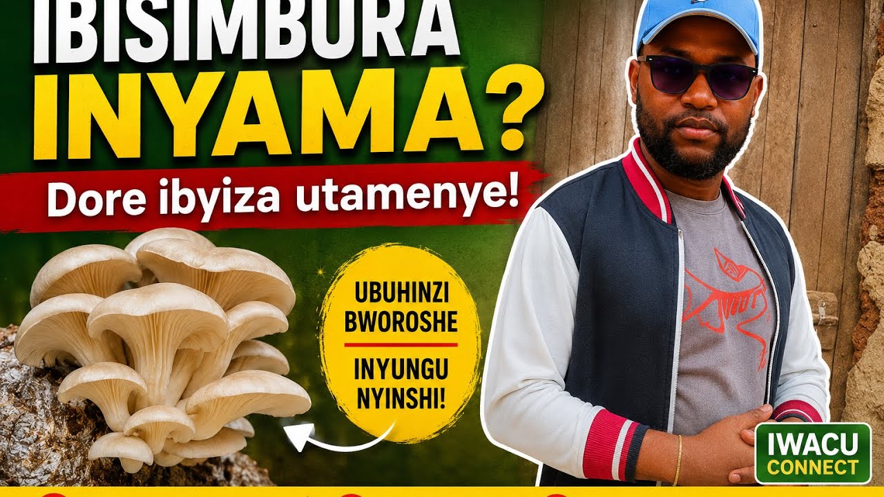 🍄 Ibihumyo: Ibisimbura Inyama & Umushinga Mwiza w’Ubuhinzi! 🌱