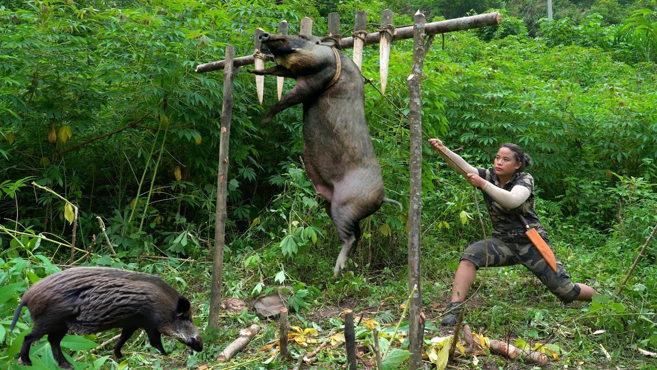 200 Days Alone in the Jungle: Wild Boar Attack and Dramatic Jaguar Encounter | phượng pú
