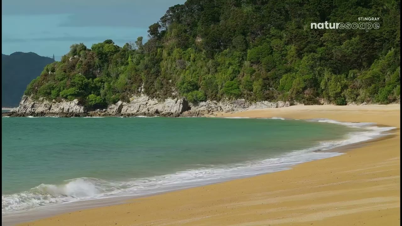 Stingray Naturescape 4K (June 11, 2025)