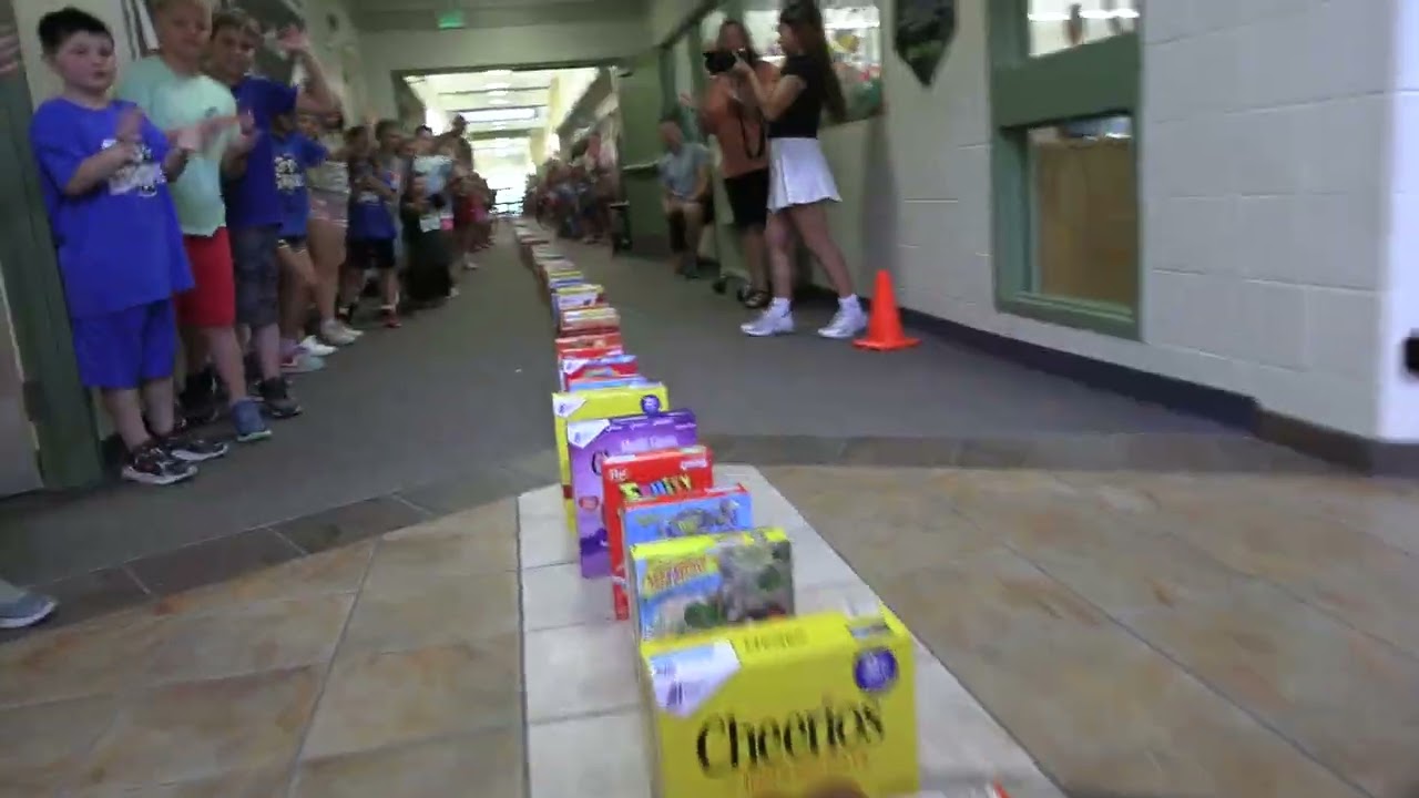 Quincy Elementary Domino Cereal Boxes