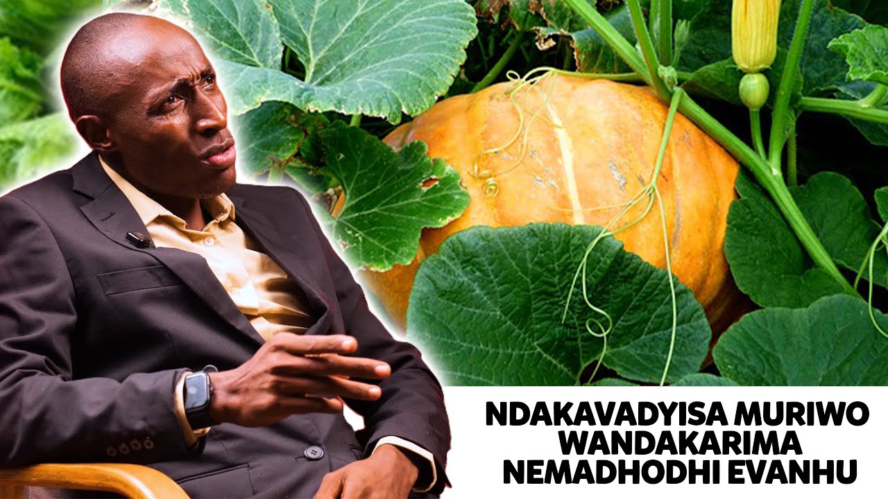 NDAKATORA MADHODHI MU TOILET NDIKAVARIMIRA MURIWO || PART 01 || ACROSS THE BORDER S3 EP 06