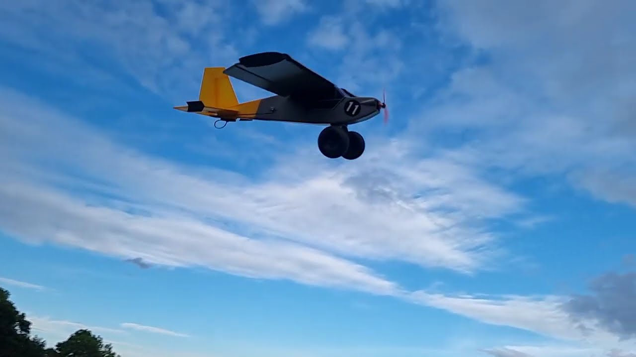 BuschTrottel Slow Motion