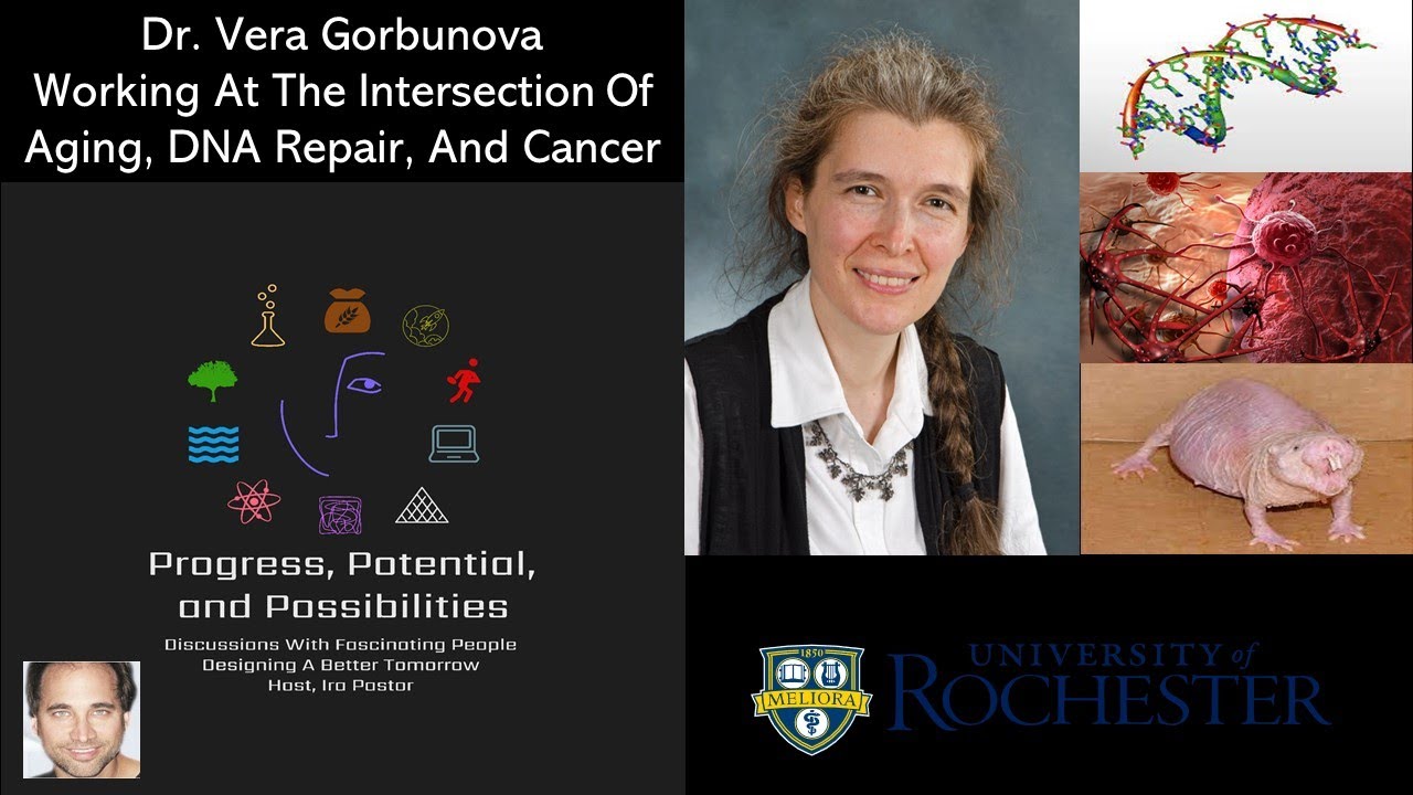 Dr. Vera Gorbunova - Working At The Intersection Of Aging, DNA Repair, And Cancer