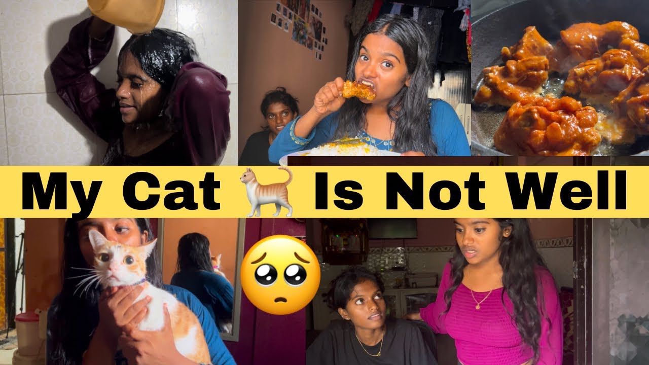 My Cat Is Not Well🥺Rakshita tulu talks #rakshita #cat #tulu #sister #tulucomedy #tulus #tulunadu