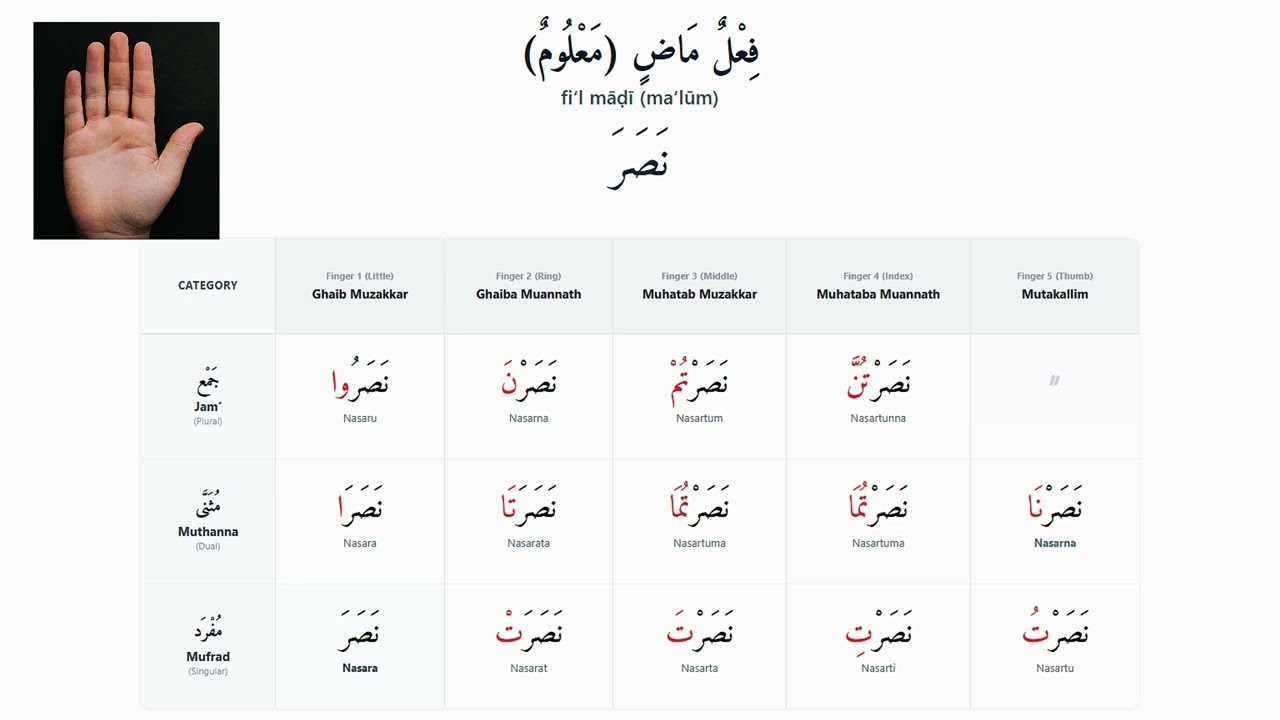 Arabic Made Simple: Beginner’s Guide to Language  IAMTHILA AL-MUTTARIDA EXPLAINED