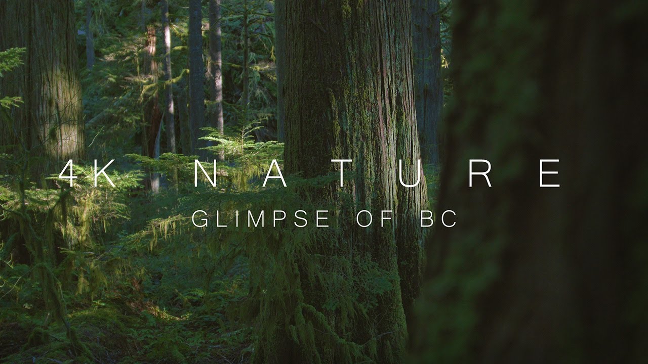 4K Nature | Glimpse of British Columbia