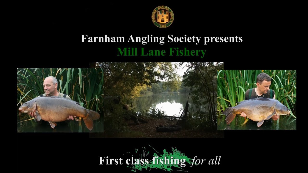 Farnham Angling society Mill Lane Fishery