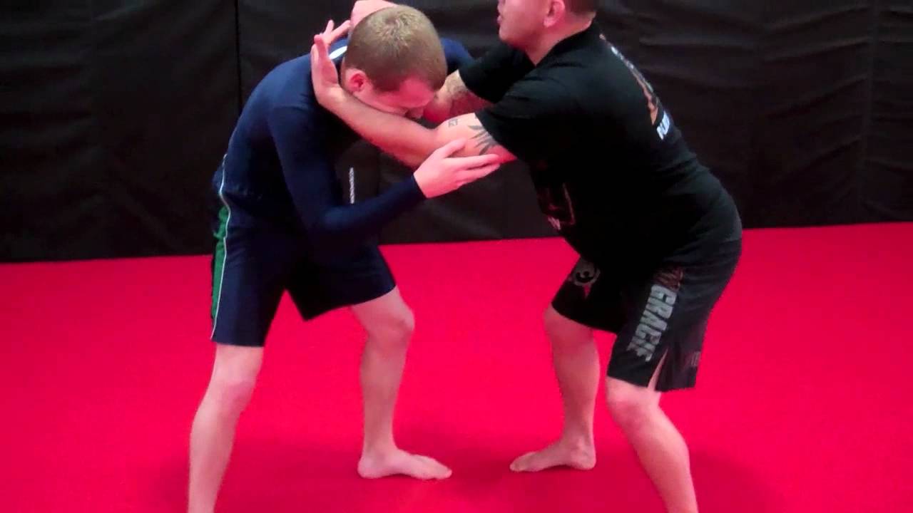 Basic Knee Block Takedown