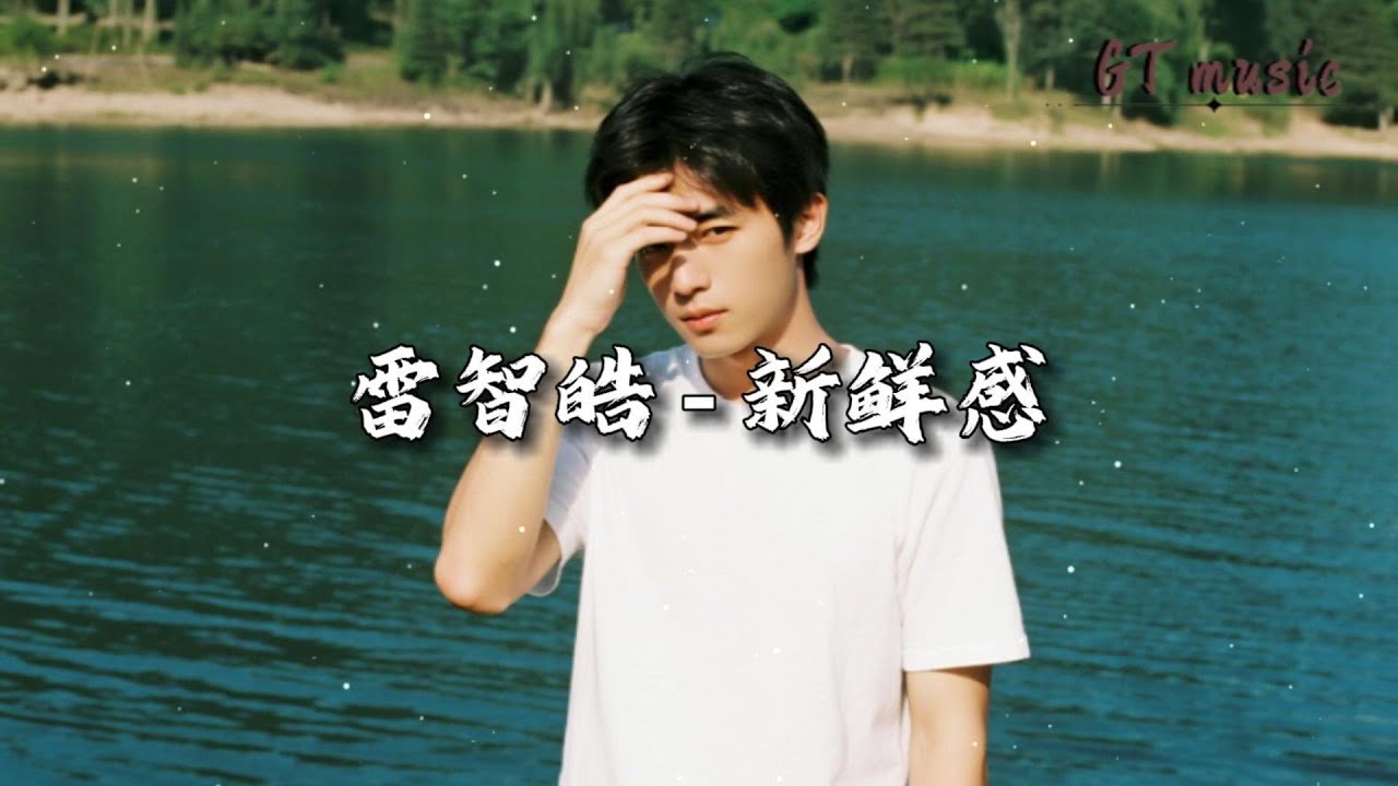 雷智皓 - 新鲜感『我不知道是走是留，我知道这都是借口。』【动态歌词MV】