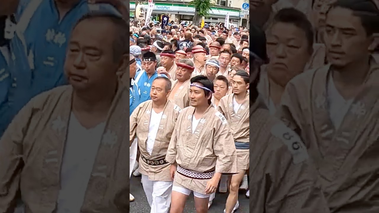 柳二の入場シーン  喧嘩勃発 迫力満点 神輿渡御 鳥越祭 2024 #shorts