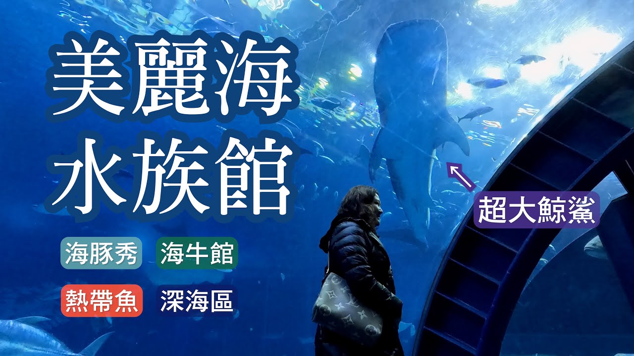 看到鯨鯊了！冬天的沖繩其實很好玩｜日本自由行｜水族館・古宇利島・首里城・國際通・瀨長島