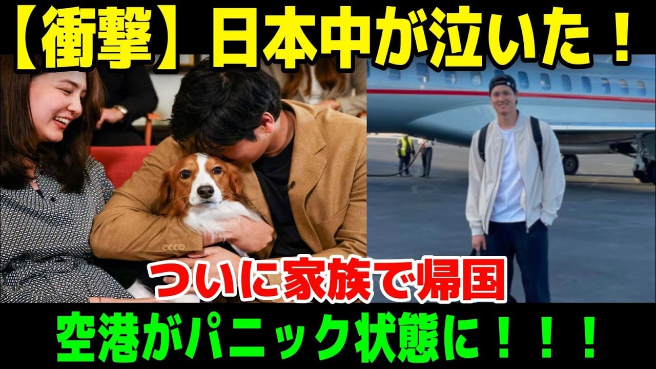 【涙の再会】大谷翔平が愛娘と極秘帰国！空港がパニックに…真美子夫人が見せた“異変”とデコピンの反応に日本中が感動！