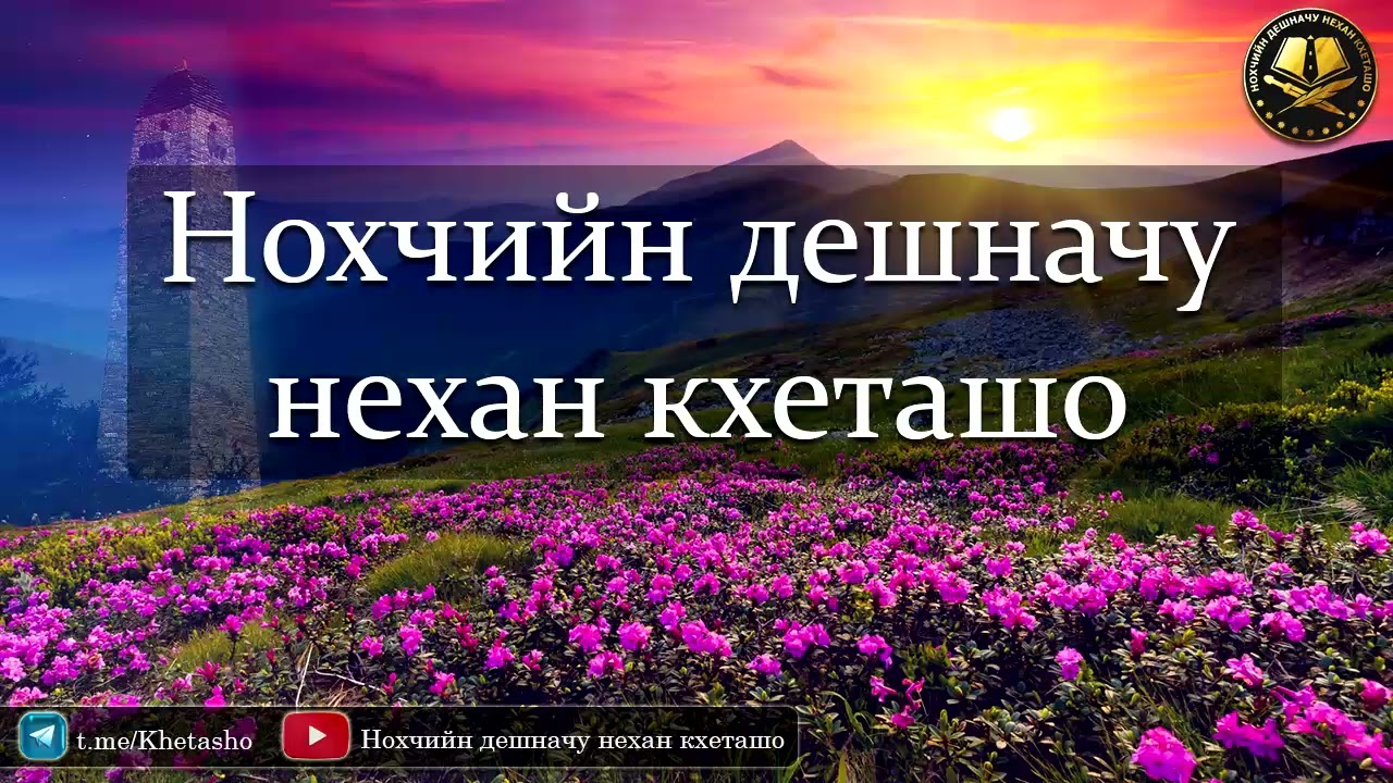 15) Эфир: Суннатехь нийса зуда йитар 07.05.2023