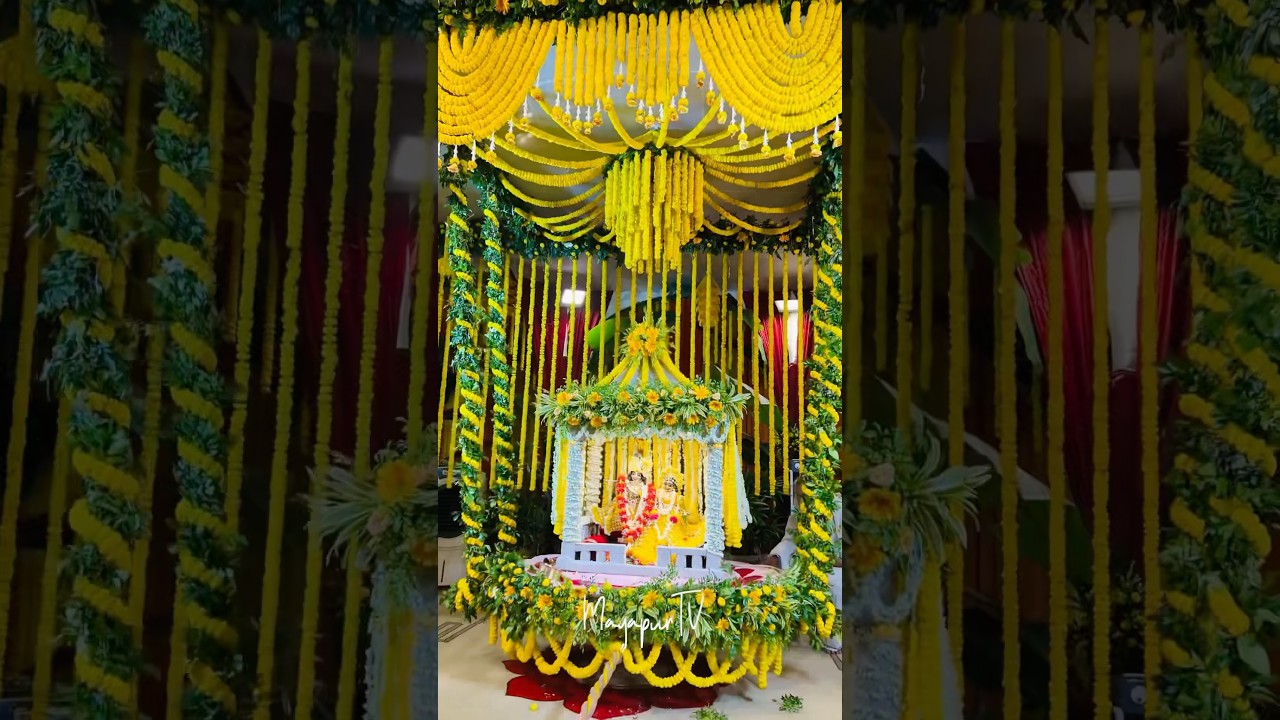 Jhulan Yatra day 2