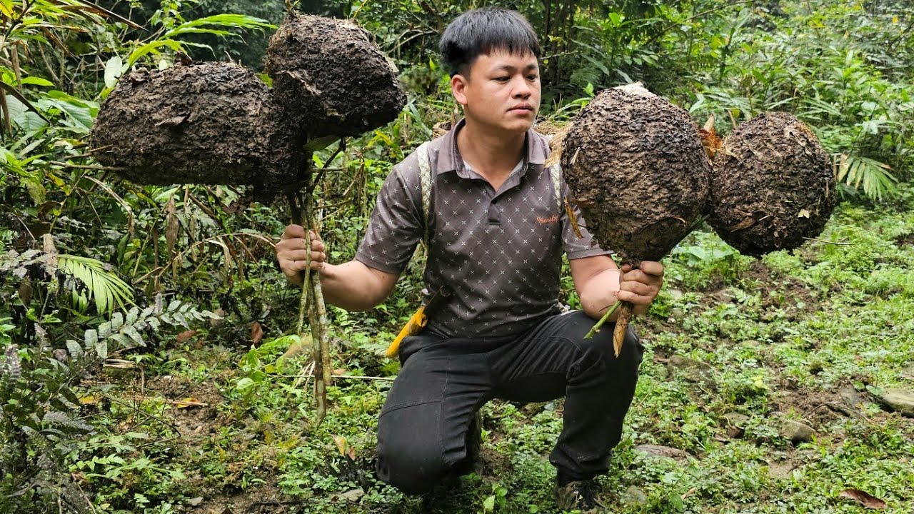 Trieu Kha Harvests Herbs, Conquers Numerous Giant Ant Colonies