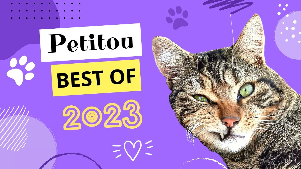 Petitou BesTOUF 2023
