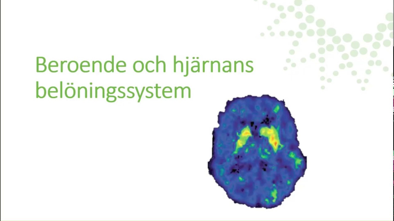 Beroende och droger del 1 - Beroende och hjärnans belöningssystem
