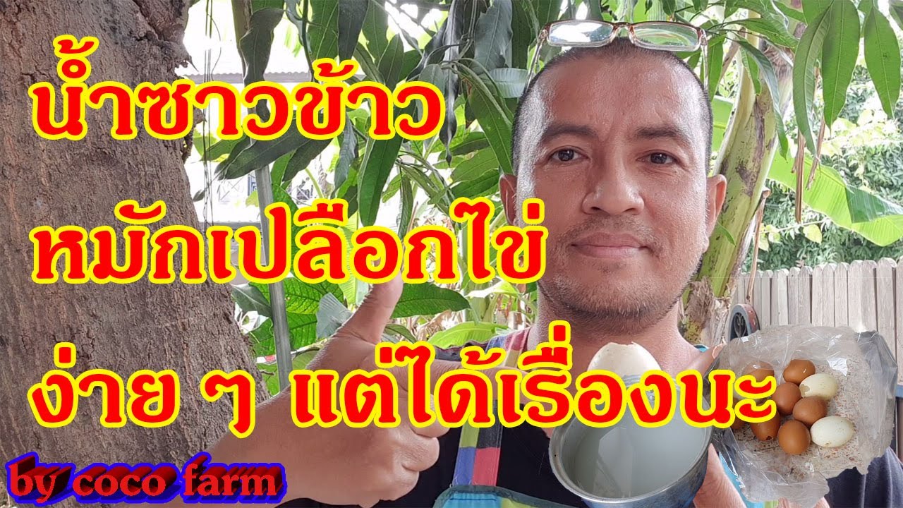 การทำน้ำซาวข้าวหมักเปลือกไข่ ประโยชน์เต็มๆ 