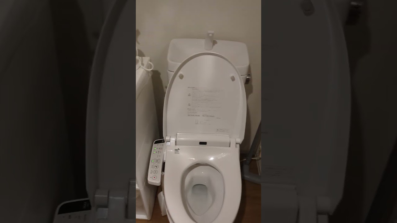 How to use a Japanese toilet 