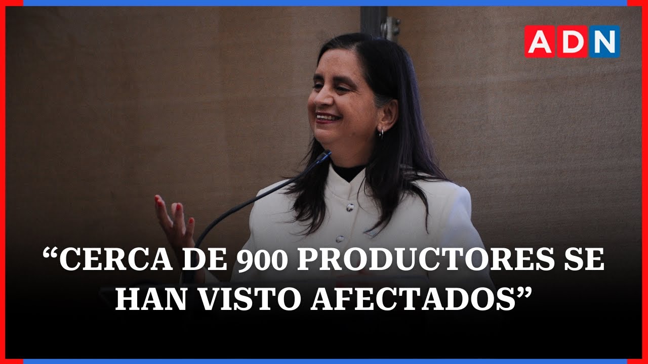 Ministra de Agricultura detalla apoyos que recibirán agricultores afectados por incendios forestales