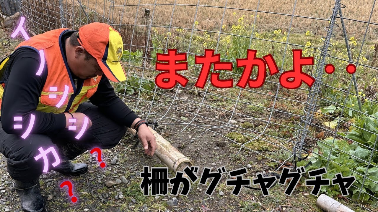 【ガッカリする瞬間】田んぼを守る柵なのに‥‥