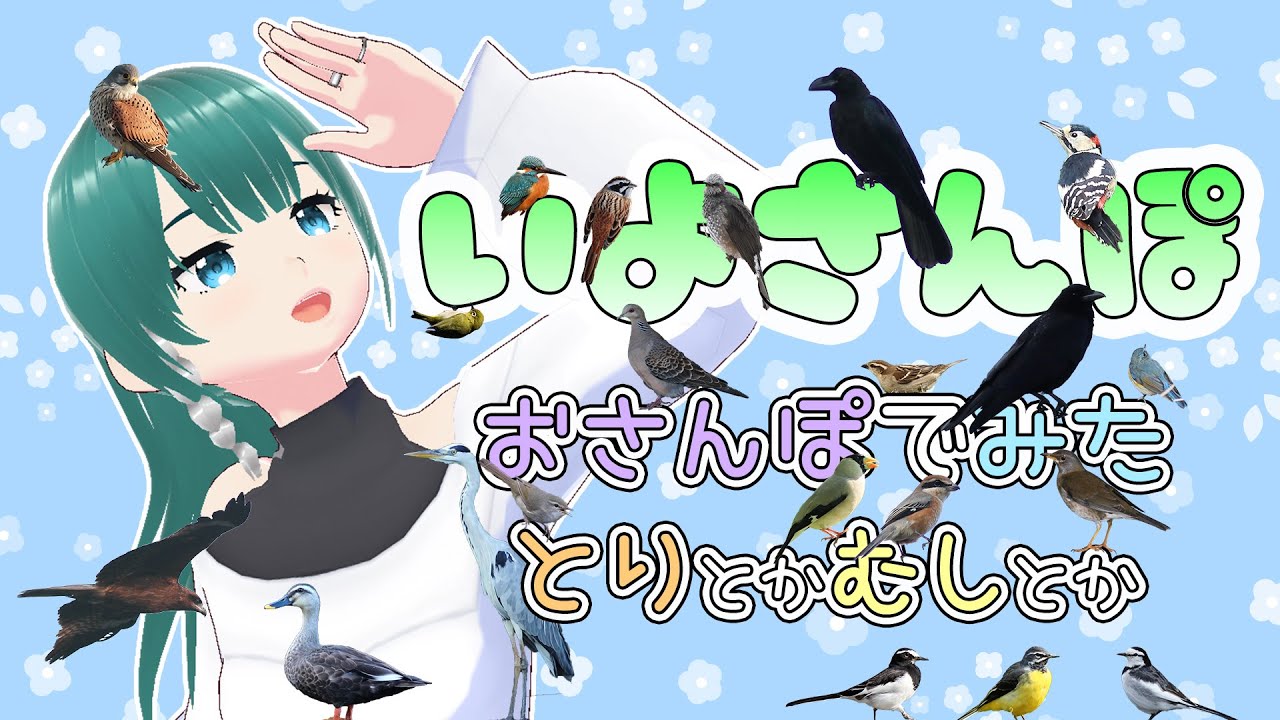 【 #いよさんぽ 】朝のお散歩で見た生き物を紹介！寒さを凌いでいる虫たちに出会えました【 #41 】
