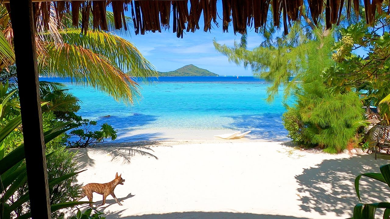 Tropical Villa Ambience: A Peaceful Escape in French Polynesia