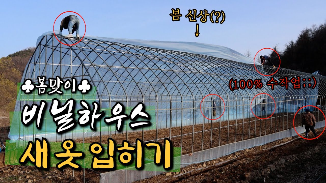 [밭리스타 EP열.비닐 덮는 날]  봄맞이 신상 비닐로 코디해봤어요~ 우리 하우스 뤀 구경하고 가세요~~