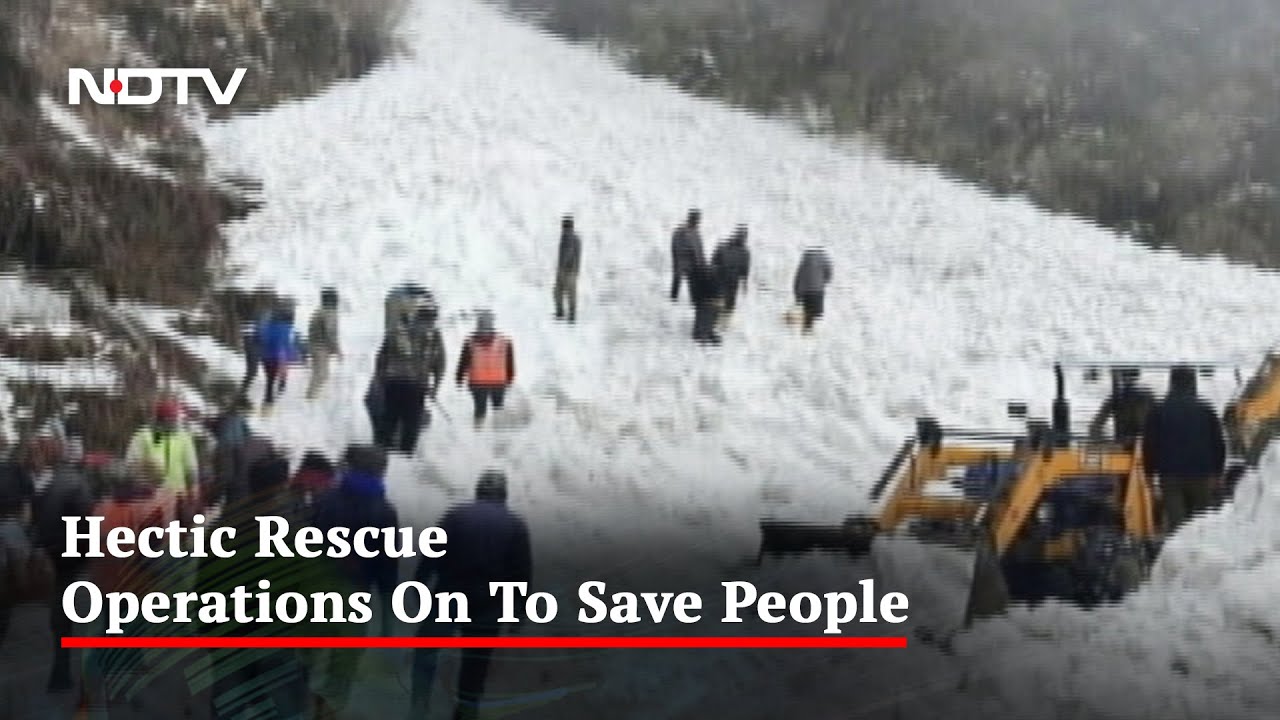 7 Tourists Killed In Massive Avalanche In Sikkim