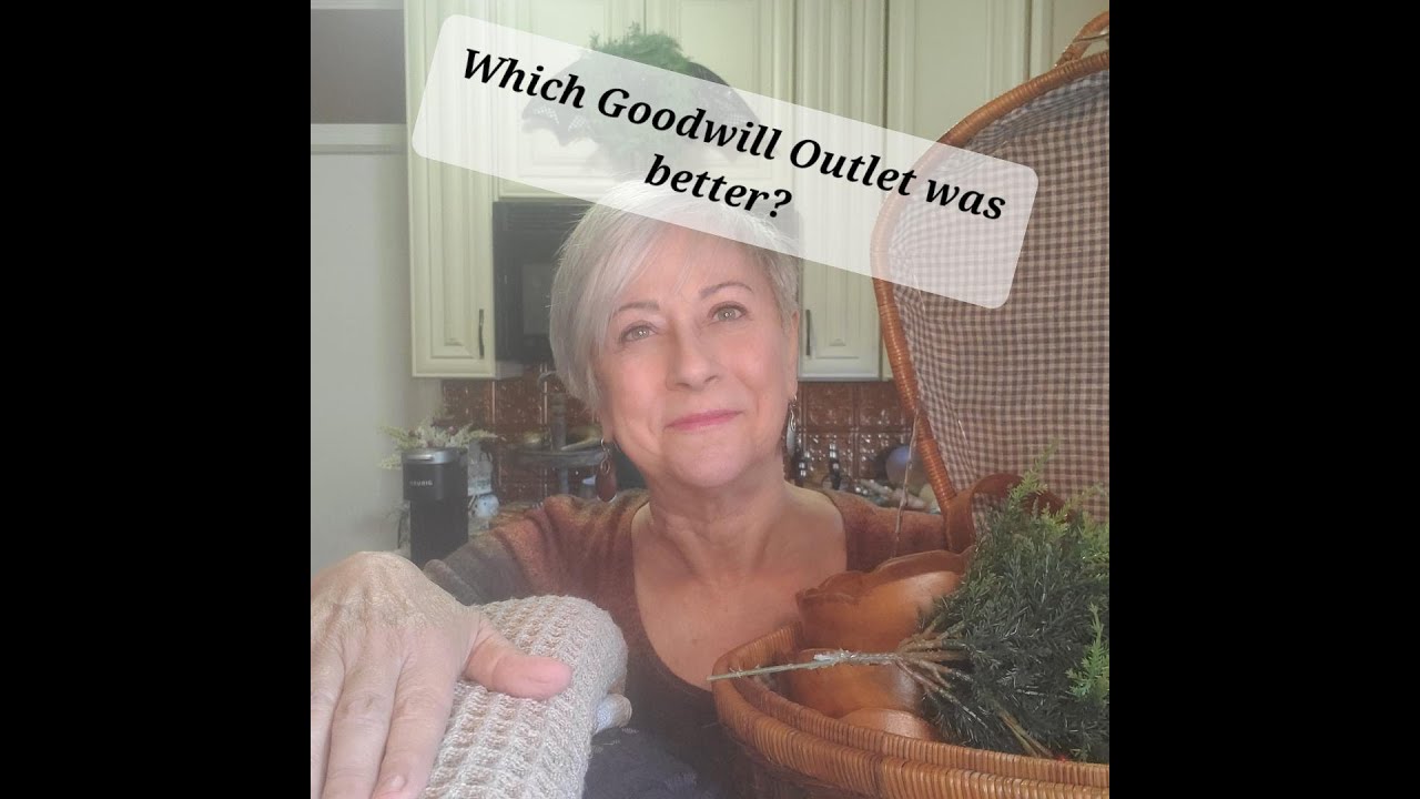 Which thrift haul is better? Winston-Salem or Greensboro NC Goodwill Outlet/Bins 