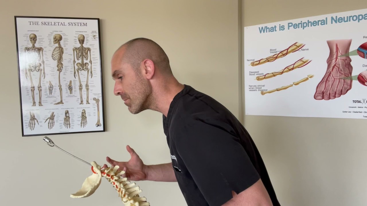 Posture Perfect Chiro and PT