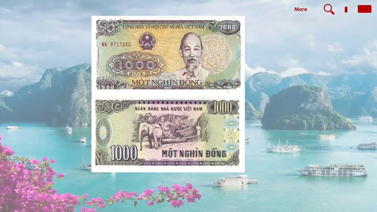 Vietnam banknotes - Dong