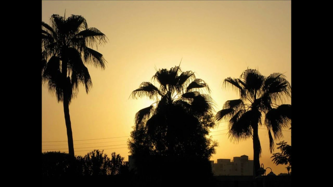 NEW Balochi song 2009 - Southern Iran, Bandar Abbas (Naeim Baluchestani)